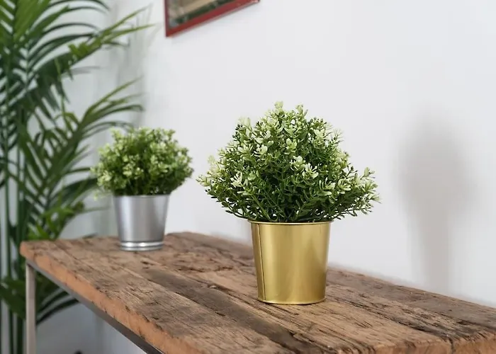 El Atico De Coronada Cadice